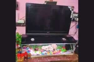 fish-tank-under-a-TV