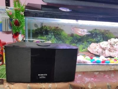 sound-levels-near-your-fish-tank