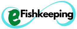 eFishkeeping