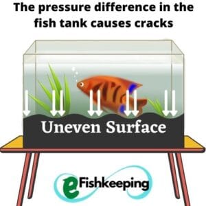 7 Reasons Why Fish Tank Cracks (+How To Fix It!) - eFishkeeping