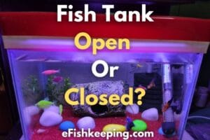 Fish Tank Open Or Closed: Do You Need To Cover It?