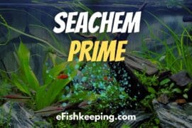 Seachem Prime Dosage: A Complete Guide [Calculator + Chart]
