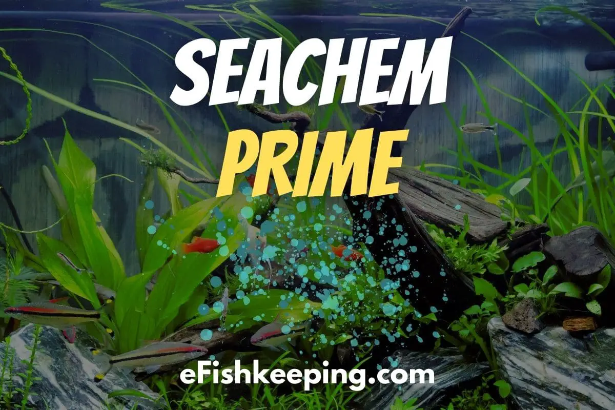 Seachem Prime 101: Dosage Guide, Calculator, And Chart - eFishkeeping