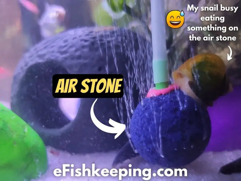 aquarium-air-stone