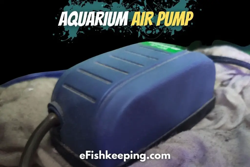 The Complete Aquarium Air Pump Placement Guide eFishkeeping