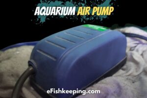 How Long Do Aquarium Air Pumps Last? How Long To Run?