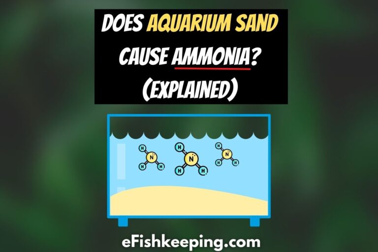 does-aquarium-sand-cause-ammonia
