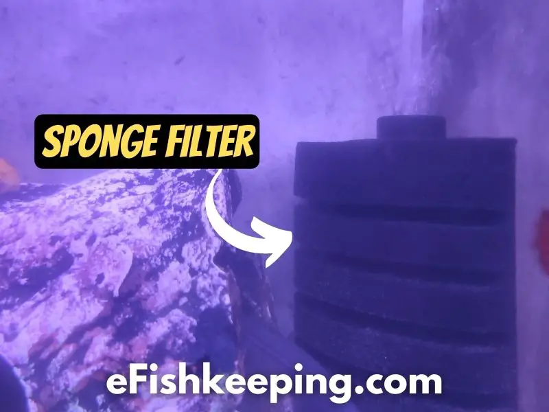 aquarium-sponge-filter