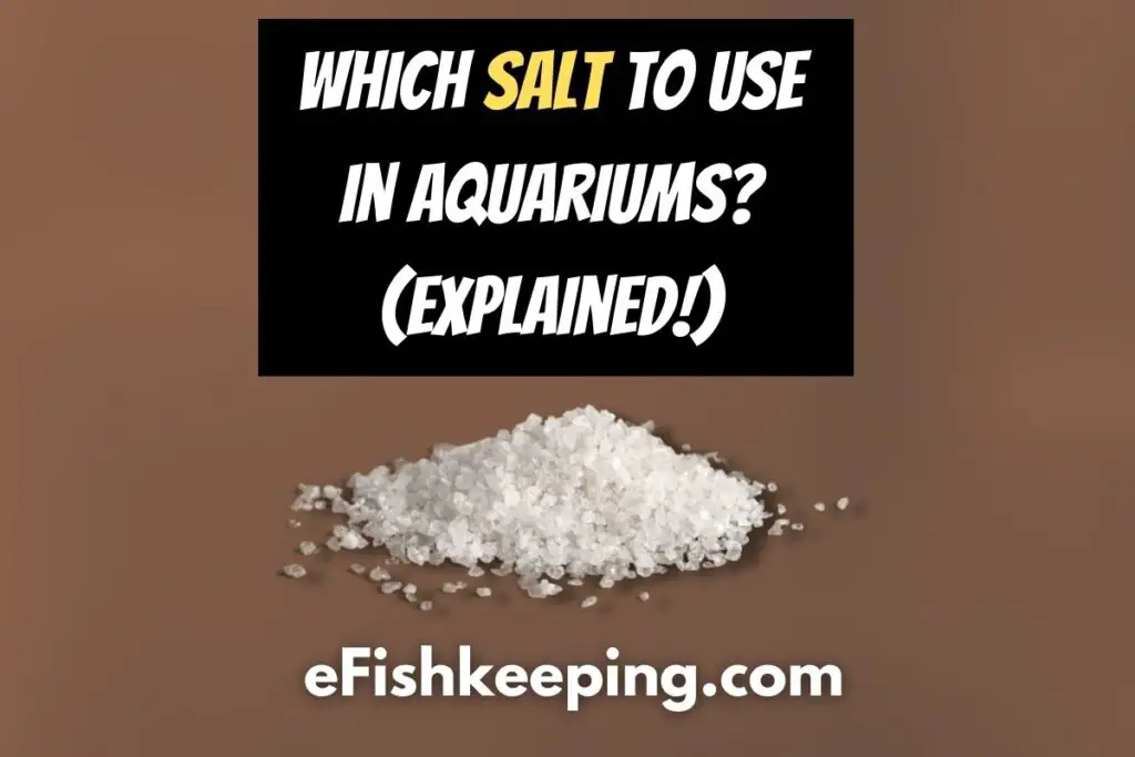 Which Salt To Use In Aquariums? (A Fishkeeper’s Guide!)