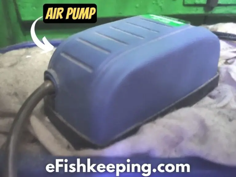 The Complete Aquarium Air Pump Placement Guide eFishkeeping