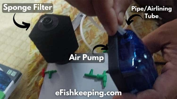how-to-setup-air-pump-air-stone-and-sponge-filter-for-aquarium