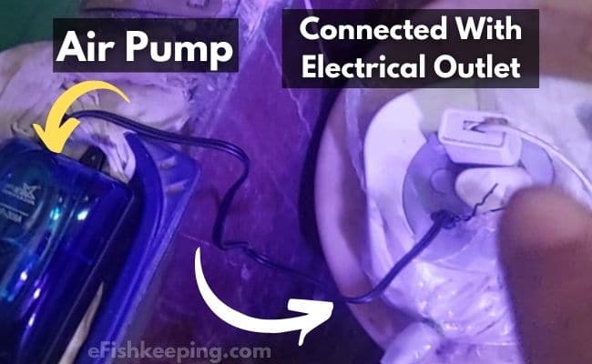 An Air Pump Connected With Electrical Outlet