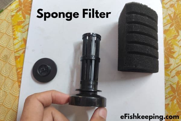 Demonstrating A Sponge Filter With Its Parts Open