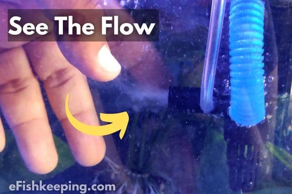 Demonstrating The Flow Generated By The Powerhead (Connected With Top Filter) Inside An Aquarium
