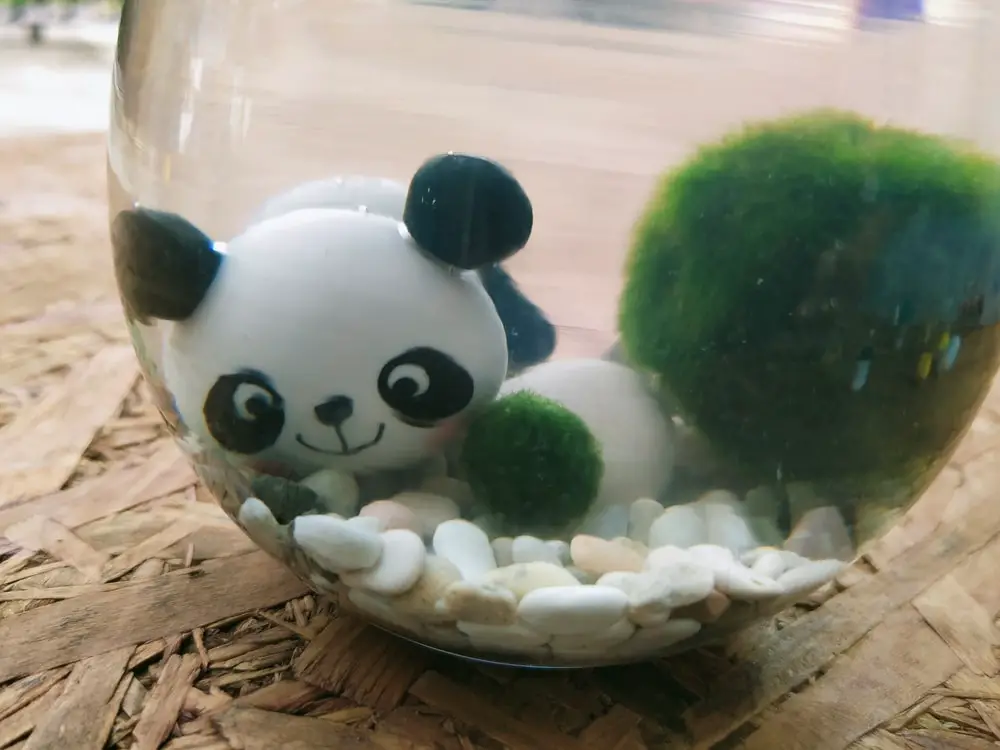 Moss-Ball-In-A-Bowl-With-Pebbles-And-Decoration