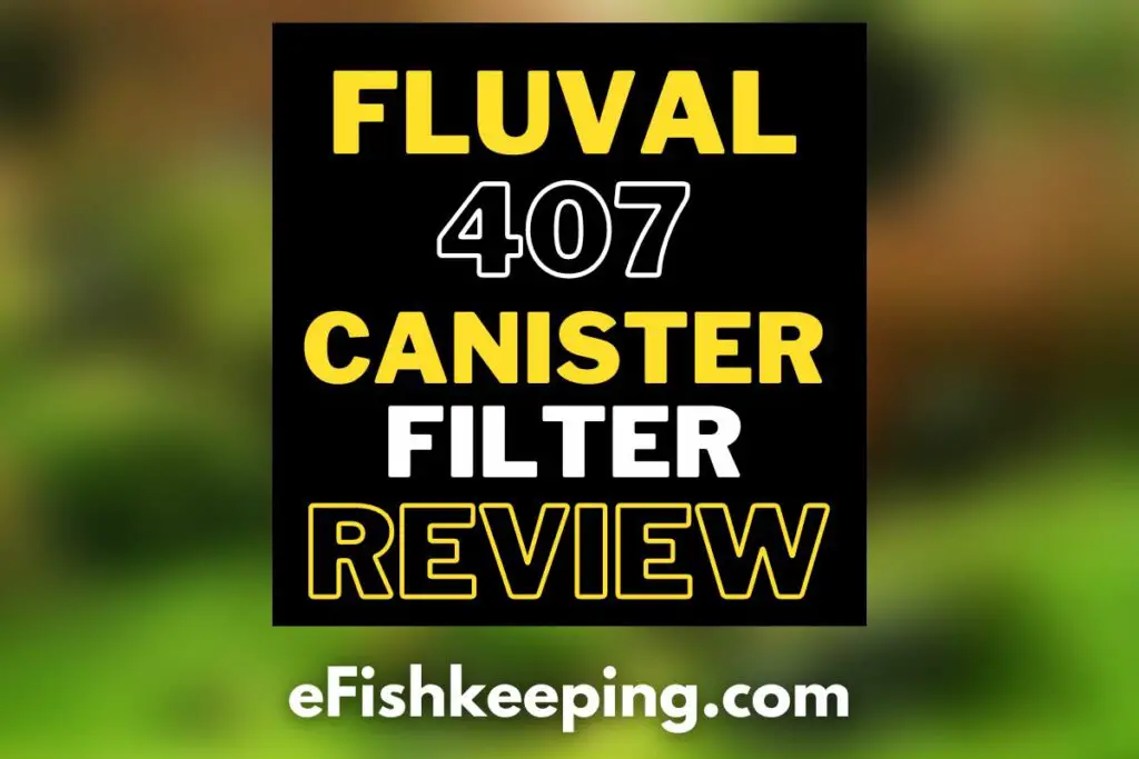 fluval 407 canister filter review