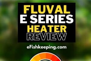 Fluval E Series Heater Review: Is It For You?