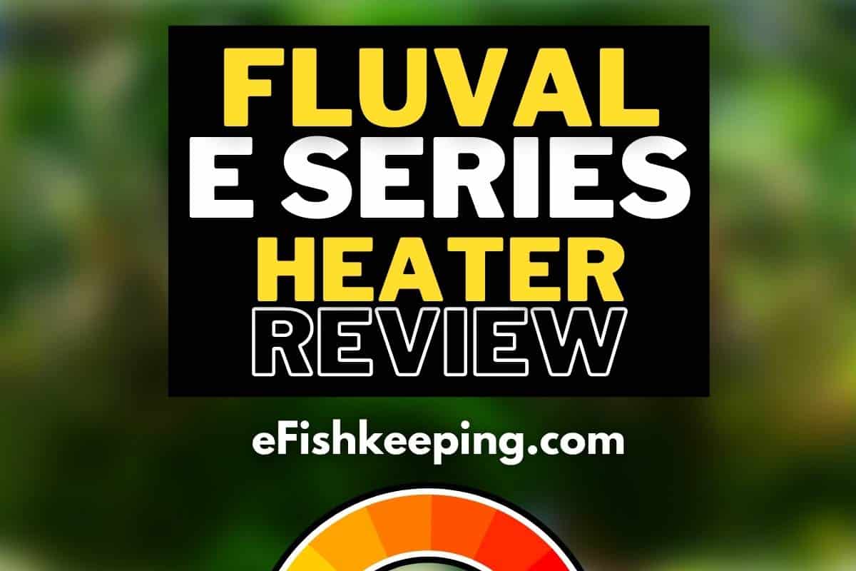 Fluval E Series Heater Review