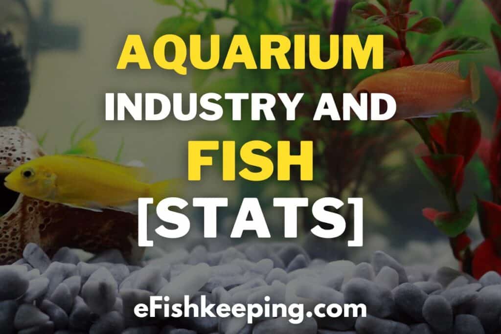 aquarium-industry-and-fish-statistics-data