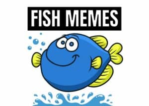 Top 11 Funny Fish And Aquarium Memes