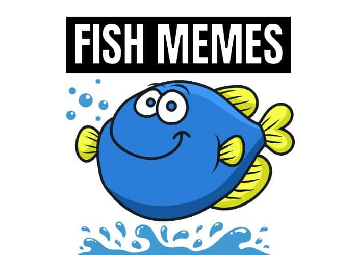 fish-memes