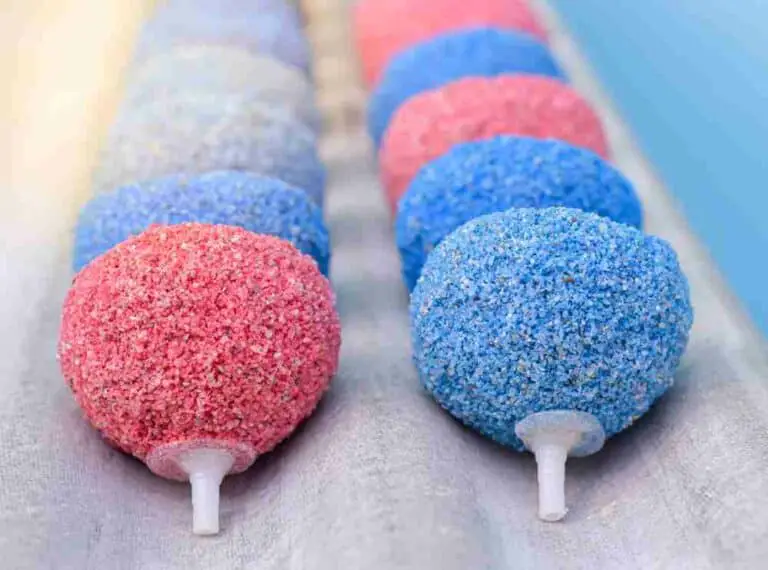 Air Stone What Is It And Where To Place It? (Explained) eFishkeeping