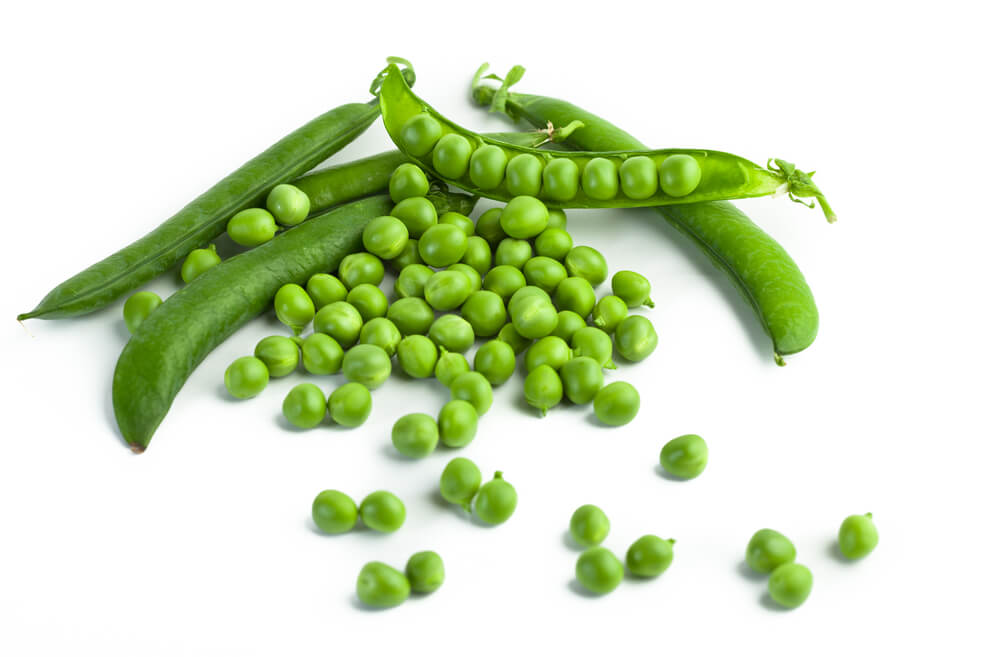 why-constipated-fish-wont-eat-peas