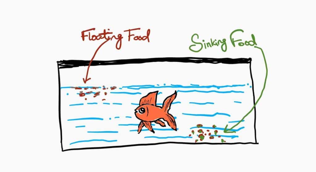goldfish-floating-sinking-food-hand-drawn-illustration