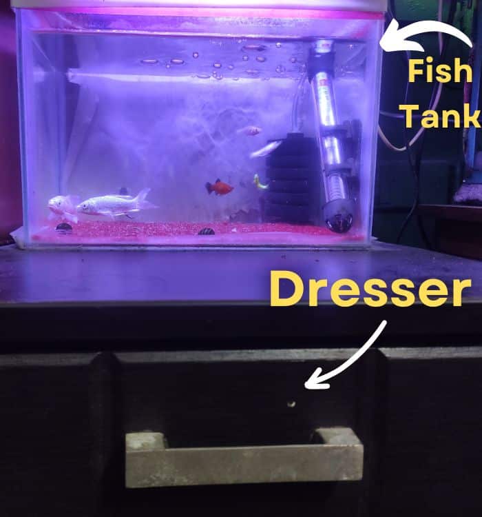 a-fish-tank-kept-on-a-dresser