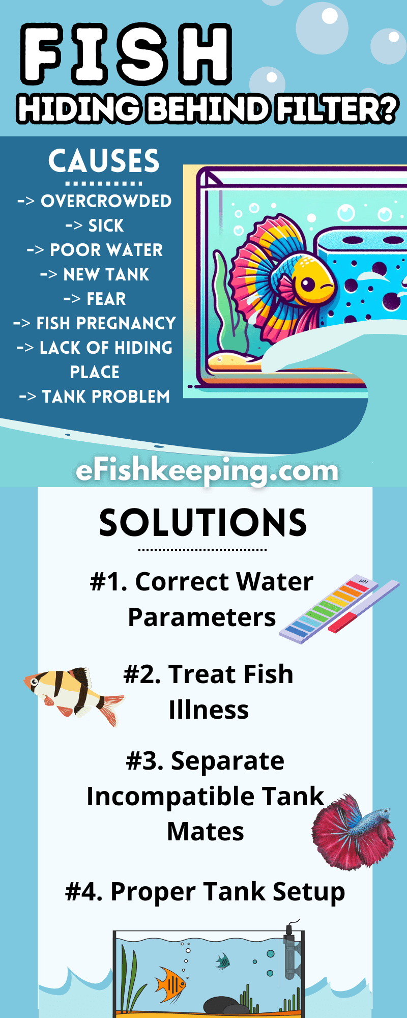 8 Common Reasons Why Fish Hide Behind Filter (& Solutions!) eFishkeeping