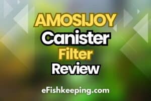 amosijoy-canister-filter-review